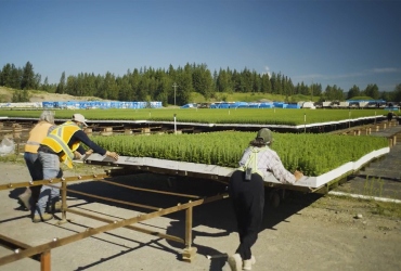 Climate action comunities