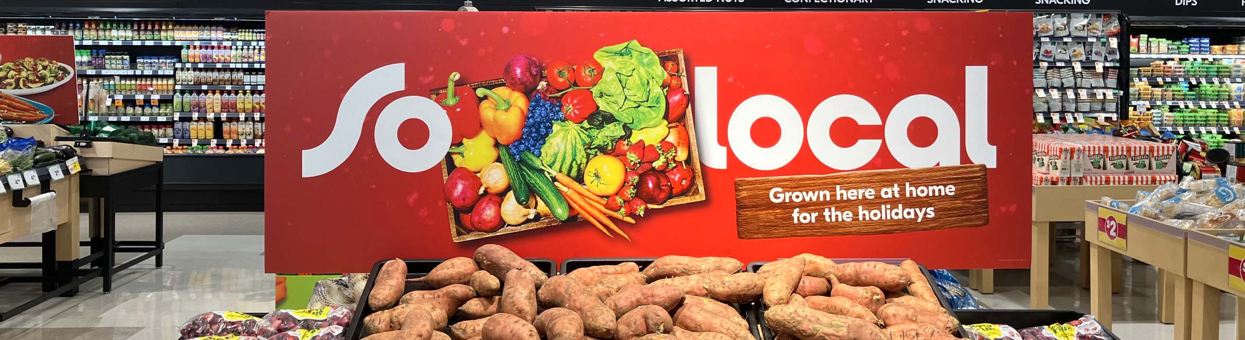 Grow here at home for the holidays