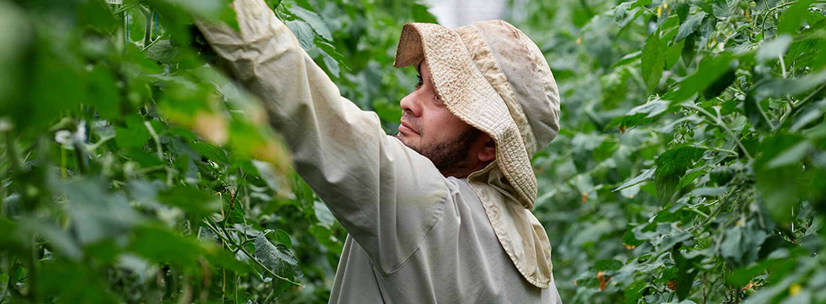 Man care for plants